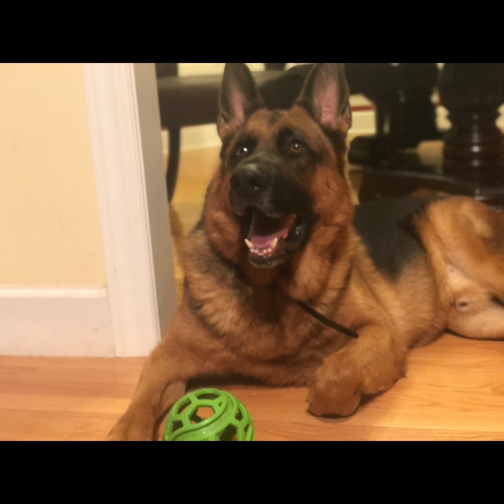 Meet your Posher, Duoduo